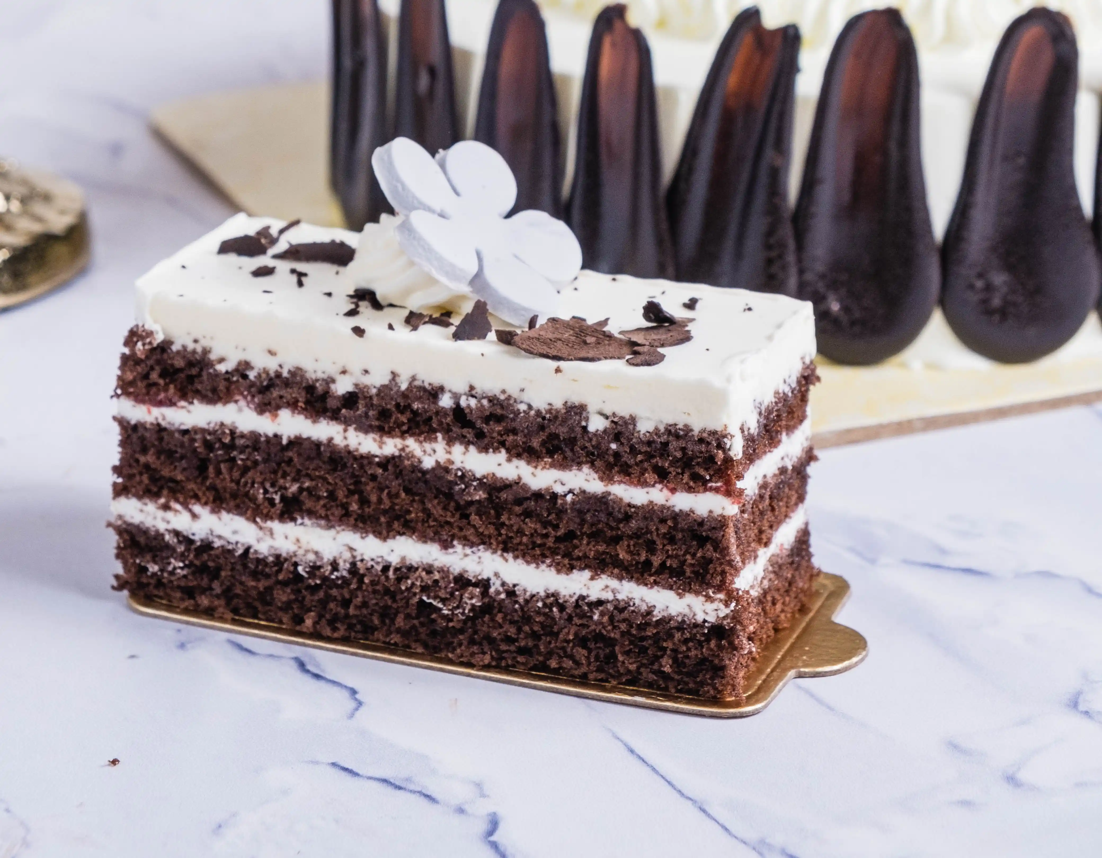 Rectangular Pastry Black Forest